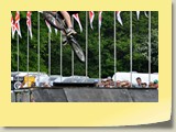 DSC_3034_resize